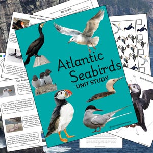 May include: A teal blue printable unit study about Atlantic seabirds. The cover features illustrations of a puffin, a seagull, a razorbill, a tern, and a cormorant. The title is "Atlantic Seabirds Unit Study".
