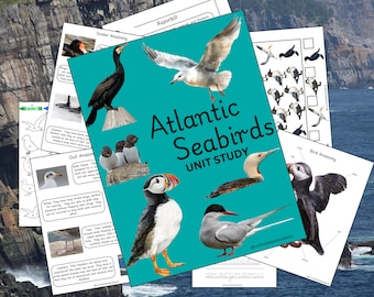 Seabird Unit Study: Atlantic Species, Homeschool Nature Pack (Printable)