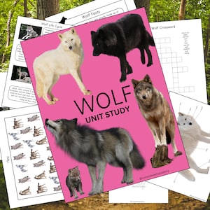 Puede incluir: Un póster rosa titulado "WOLF UNIT STUDY" presenta imágenes de lobos en varios colores. Páginas adicionales incluyen un diagrama del ciclo de vida del lobo, un crucigrama y una hoja de "Wolf Facts". El fondo es una escena de bosque.