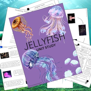 Jellyfish Unit Study | 54 page Printable Educational Resource | Homeschool Nature Study | Classroom Learning Pack | Animal Science Resources