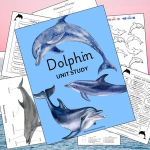 Könnte beinhalten: Ein blaues und weißes druckbares Einheitenstudium über Delfine. Das Cover zeigt drei Aquarell-Illustrationen von Delfinen. Der Titel des Einheitenstudiums lautet "Dolphin Unit Study".