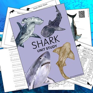 Könnte beinhalten: Ein lilafarbener, druckbarer Hai-Einheiten-Lehrgang mit Illustrationen verschiedener Haiarten, darunter ein Hammerhai, ein Walhai, ein Weißer Hai und ein brauner Hai. Der Text "SHARK UNIT STUDY" ist in Weiß auf dem lila Hintergrund gedruckt.