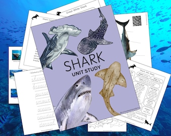 Shark Unit Study: Homeschool Learning Pack (56 Page Printable)