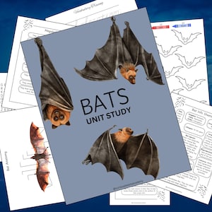 Fledermaus Einheitsstudie | 64 Seite Hausschule Naturstudie | Klassenzimmer Lernpaket | Druckbare Lernmittel | Fledermausarten im Vergleich