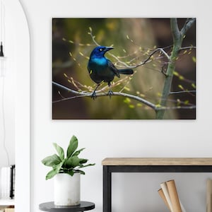 Pósteres de aves inspirados en la naturaleza con un grackle común. Decoración acogedora para el hogar, arte mural, regalos para amantes de las aves y la vida silvestre. Decoración de temporada.