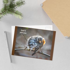 Kunstvolle Postkarten für Naturliebhaber | Vogel - Rotkehlchen, umweltfreundliches Schreibwaren, durchdachte Geschenke, Wohnkultur