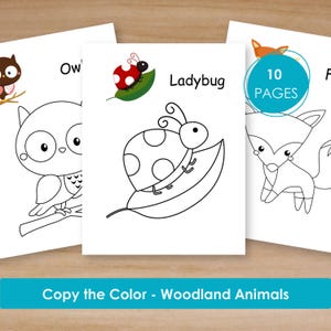 May include: Black and white colouring pages featuring woodland animals, including an owl, ladybug, and fox. The title "Copy the Color - Woodland Animals" is at the bottom of the page. There is a circle with the text "10 PAGES" in the top right corner of the page.