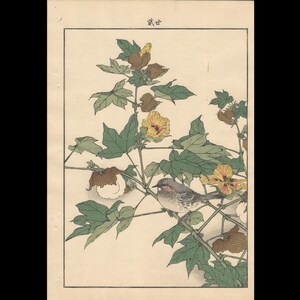 江戸屋の飾り絵　今尾景年の花鳥図の特別セット　8枚組 江戸屋の飾り絵 今尾景年の花鳥図の特別セット 8枚組
