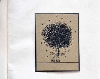 Ex Libris Willow Sticker. 5 Customizable Bookplates with illustration of the Salix Alba tree