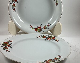 Platos antiguos de porcelana con motivos florales japoneses: juego de tazón de sopa de 20 cm y plato llano de 23 cm con borde dorado