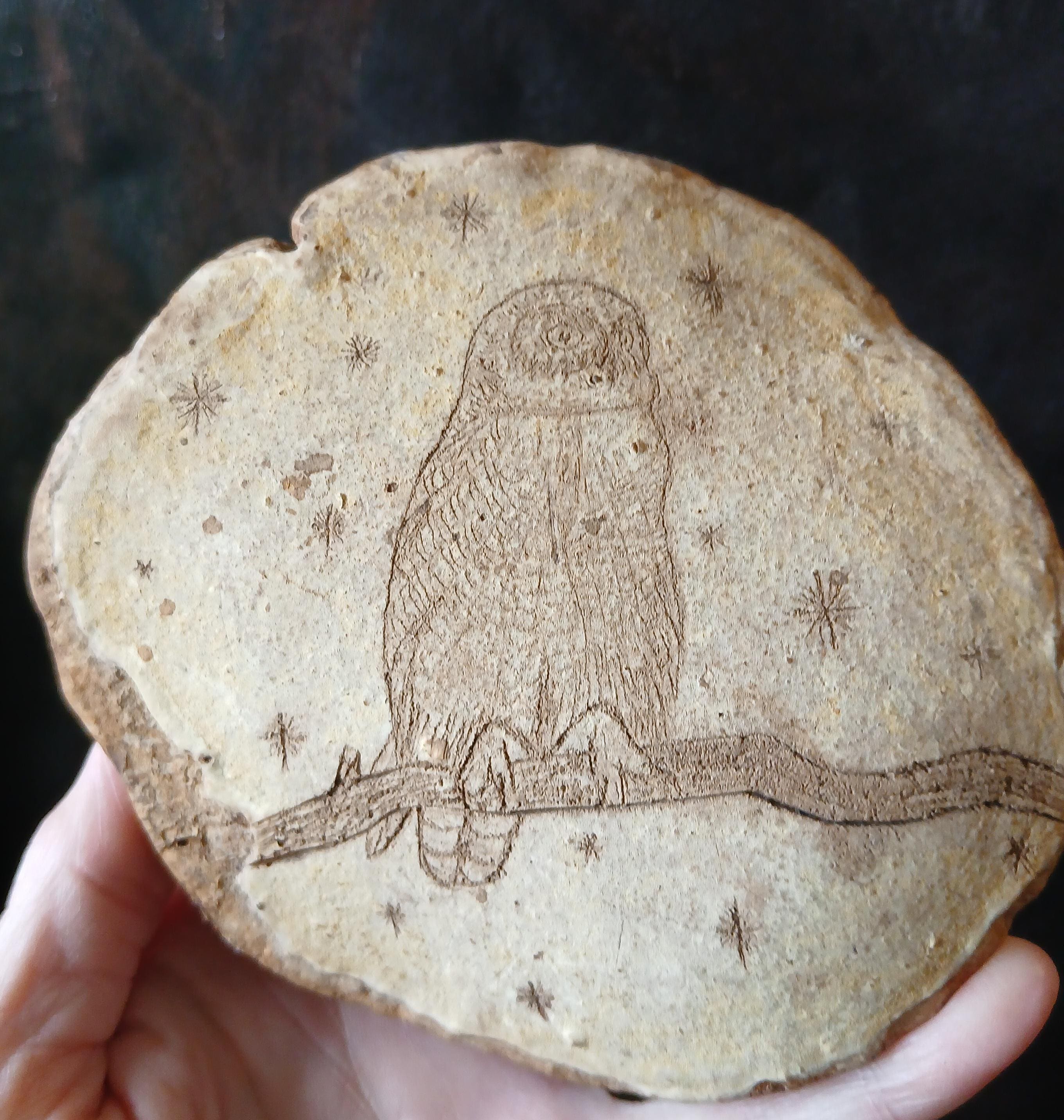 Burl Wood Natural Owl Carving on a Branch with Stars