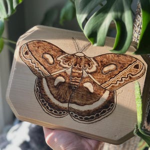 Handcrafted Moth Wood Burn Art: Pyrography Insect Wall Decor