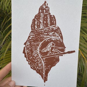 May include: Brown and white linocut print of a seashell. The print shows a detailed depiction of a large seashell with intricate textures and patterns. The artwork is on a white background.
