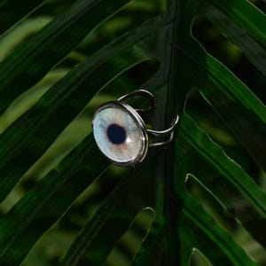 Iris Ring, Iris Anhänger, Benutzerdefinierte Iris Ring, Benutzerdefinierte Augenbild Ring, spezielle Iris Ring, Ihr Auge Foto Ring, Einzigartiges Geschenk