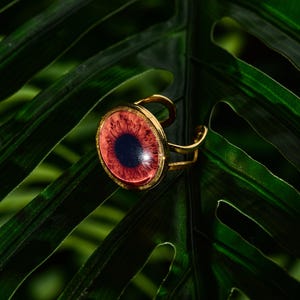 Iris Ring, Iris Anhänger, Benutzerdefinierte Iris Ring, Benutzerdefinierte Augenbild Ring, spezielle Iris Ring, Ihr Auge Foto Ring, Einzigartiges Geschenk