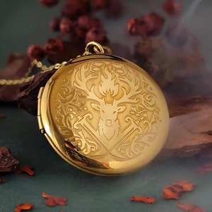 Throne of Glass Officially Licesend, Terrasen Locket Necklace, Aelin Galathynius, Throne of Glass Necklace, Book, Fireheart, Goldryn Sword