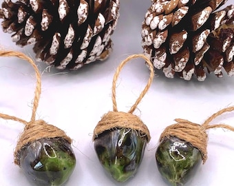 May include: Three green acorn ornaments with brown twine loops for hanging. The acorns have a glossy finish and are wrapped with natural twine at the top. Two pine cones with white accents are in the background.