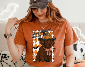 Peut inclure: T-shirt orange avec un motif d'Halloween représentant un chien marron portant un chapeau de sorcière orné de citrouilles. Le motif comprend le texte "Stay Spooky", des étoiles et des chauves-souris. La personne porte une casquette de baseball grise avec le texte "Stay Spooky".