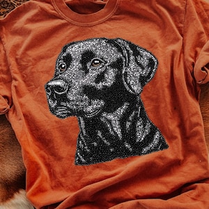 Transferencia DTF de Labrador Negro con Imitación de Diamantes de Imitación, Imitación de Diamantes de Imitación de Moda, Animal, Carrera, DTF de Tendencia, Listo para Imprimir imagen 1