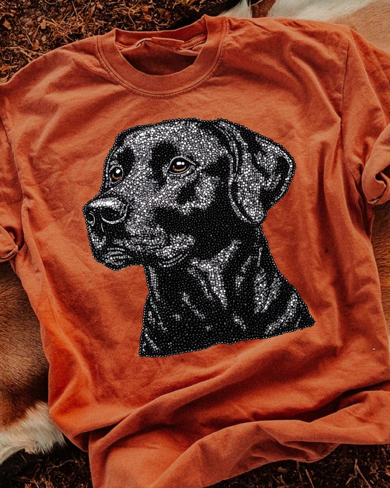 Transferencia DTF de Labrador Negro con Imitación de Diamantes de Imitación, Imitación de Diamantes de Imitación de Moda, Animal, Carrera, DTF de Tendencia, Listo para Imprimir imagen 1