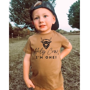 May include: A brown short-sleeved t-shirt with a black highland cow graphic and the text "Holy Cow, I'm One!" printed on the front.