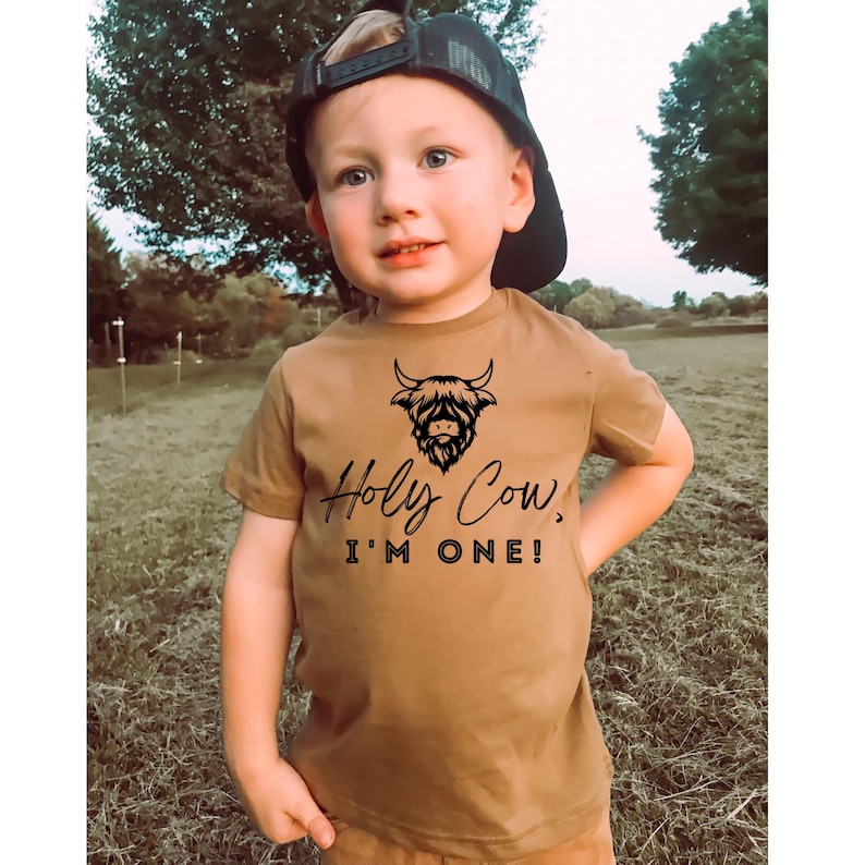 May include: A brown short-sleeved t-shirt with a black highland cow graphic and the text "Holy Cow, I'm One!" printed on the front.