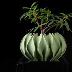 Vaso da fiori Abyssal V1 - Geometria unica / Stampa 3D / Giardino da interno / Vaso minimalista