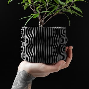 May include: A black, wave-patterned planter holds a small green plant. The planter is held in a hand with a tattoo on the forearm. The planter's design features vertical, undulating lines, creating a textured appearance. The plant has multiple branches and leaves.