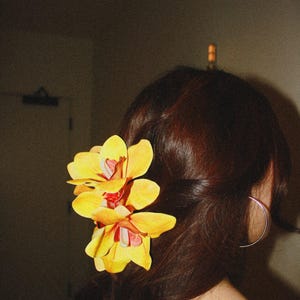 Sunset Orchid Hair Claw Clip