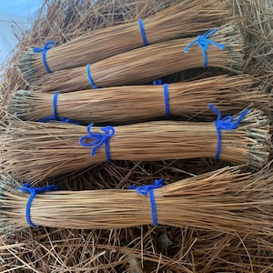 1 - Longleaf Pine Needles