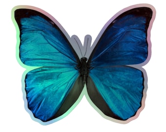 Blue Butterfly Holographic sticker