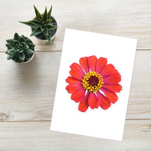 Red Orange Flower Sticker sheet