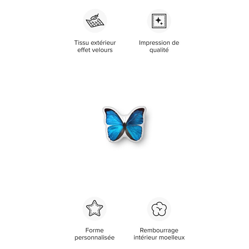 Blue Butterfly  pillow