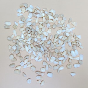 Vintage Denture Craft Teeth Bulk Lot 230 Pieces Teeth Upper Lower Anteriors Molars
