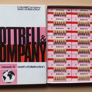 Vintage Gebisszähne Großsatz von 96 Zähnen Untere Frontzähne Acryl von Cottrell & Company