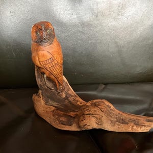 May include: A hand-carved wooden owl perched on a piece of driftwood. The owl is brown with black eyes and detailed feathers. The driftwood is a natural brown colour.