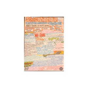 Schizophrenia & Psychosis Study Guide for Nursing Students (Digital Download)