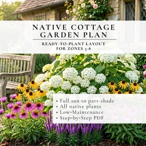 Native Cottage Garden Design Plan • Full Sun Part Shade • Low Maintenance Landscaping • Native Flowers • Zones 3–8 • Layout + Plant Care
