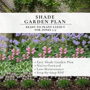 May include: A garden plan image with the text "SHADE GARDEN PLAN" and "READY-TO-PLANT LAYOUT FOR ZONES 5-9." The image features a variety of plants with pink, purple, and green foliage. The text also mentions "Easy Shade Garden Plan," "Native-Forward," and "Low-Maintenance."