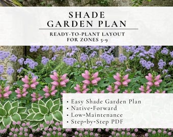 Shade Garden Design Plan • Simple Low‑Maintenance Landscaping • Native Plants • Zones 5–9 • PDF Layout + Plant Care Guidance (PDF)