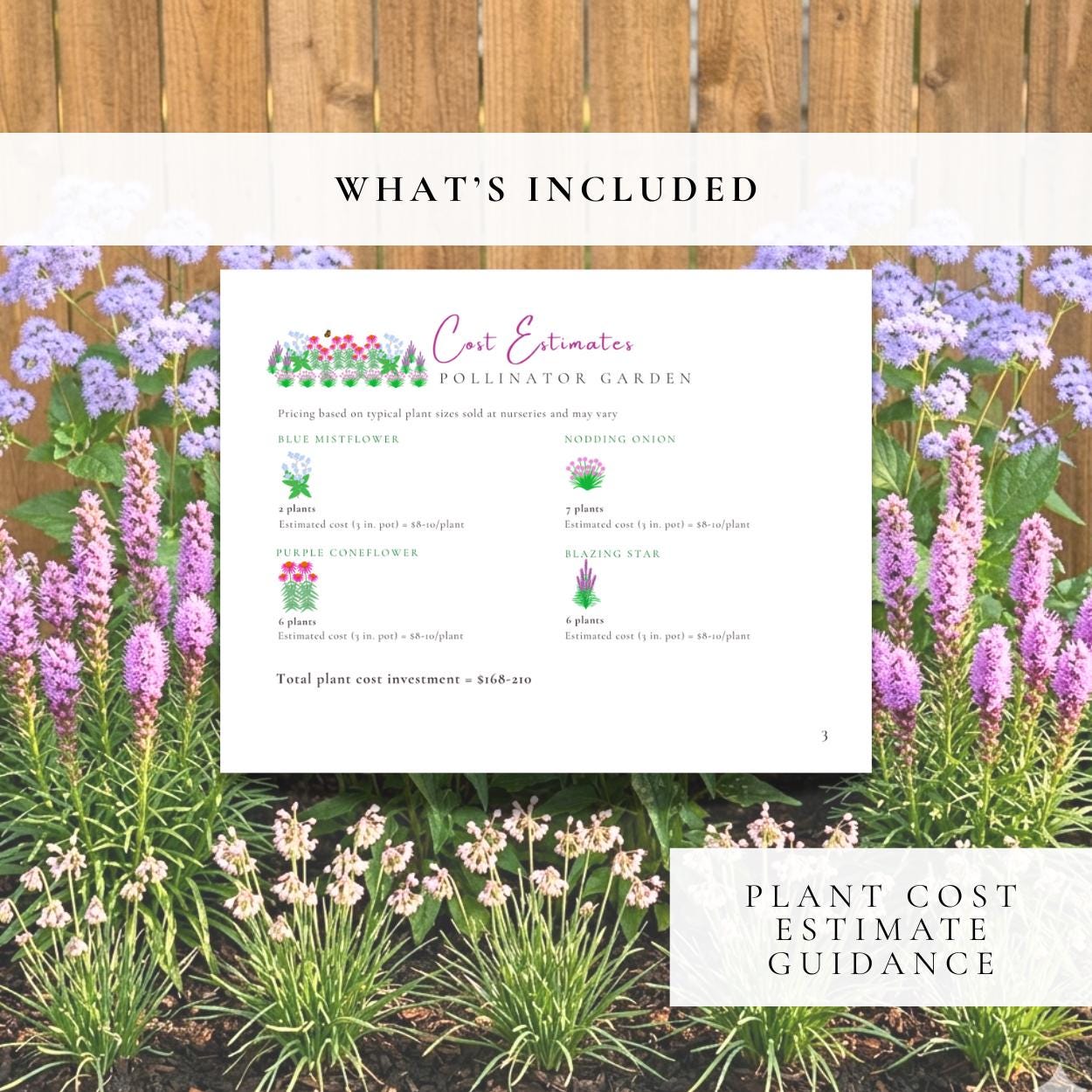 Native Pollinator Garden Design Plan • Sun to Part Shade • Low ...