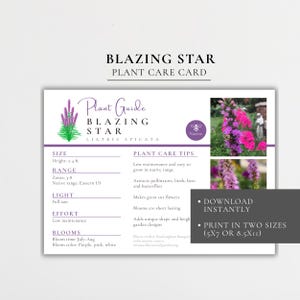 Blazing Star Plant Care Card | Native Flower Card, Label, Handout, Signage (Digital Download)