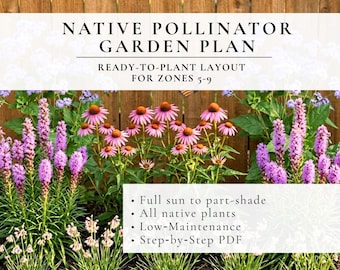 Native Pollinator-tuinontwerpplan • Zon tot halfschaduw • Weinig onderhoud • Native Flowers • Zone 5–9 • Lay-out en onderhoudsrichtlijnen (pdf)