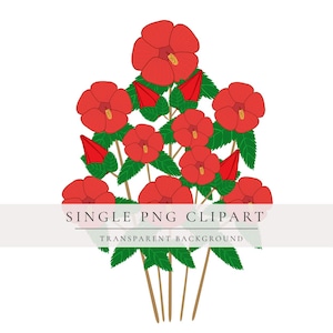 Puede incluir: Una ilustración digital de un ramo de flores de hibisco rojas con hojas verdes y tallos marrones. La imagen incluye el texto "SINGLE PNG CLIPART" y "TRANSPARENT BACKGROUND".