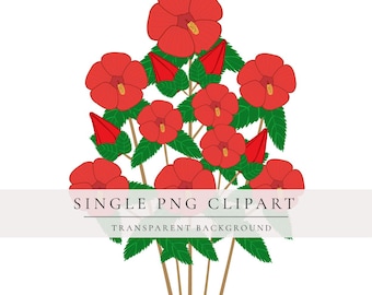 Hibiscus PNG Clipart • Swamp Mallow Illustration • Transparent Background • Wildflower Floral PNG for Stickers & Canva