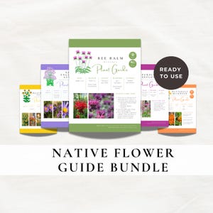 Paquete de guías de flores autóctonas, 15 fichas informativas imprimibles sobre plantas (descarga digital)