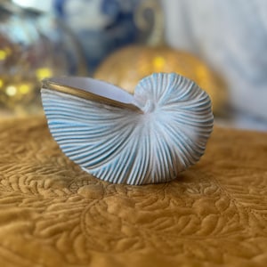 Puede incluir: Un macetero de cerámica blanca en forma de concha marina con un patrón de espiral azul y blanco y un borde dorado. El macetero está sobre una superficie acolchada marrón.
