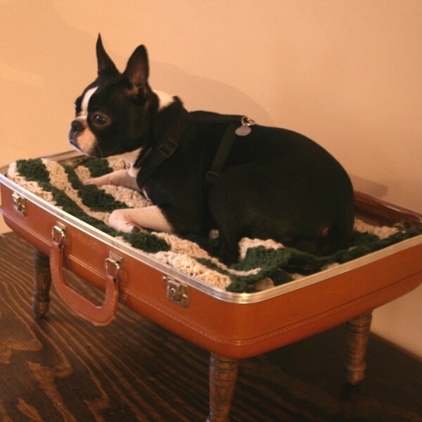 Upcycle - Suitcase Pet Bed - Tan, Green and White striped