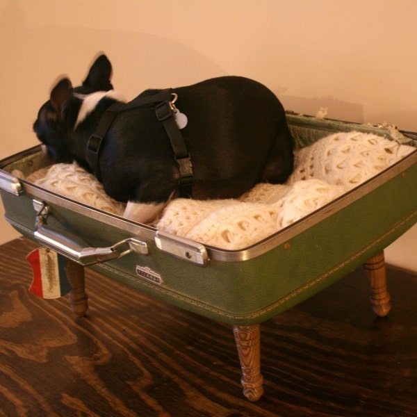 Upcycle - Suitcase Pet Bed - Olive Green and Cream