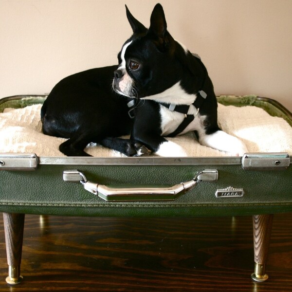 Upcycle - Suitcase Pet Bed - Olive Green and Cream
